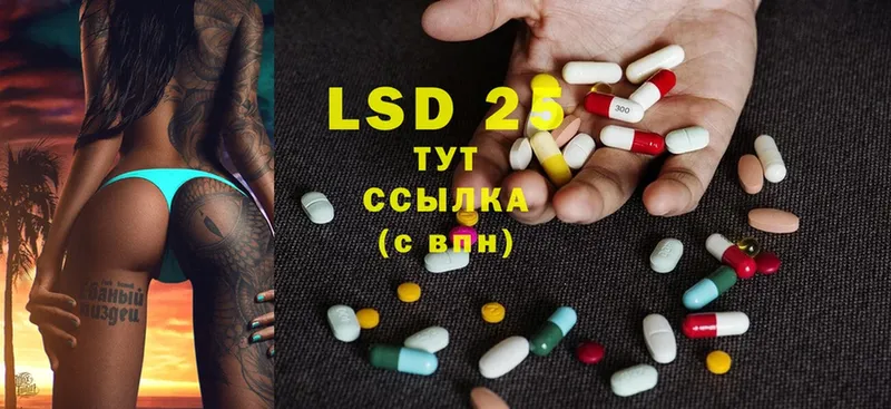 закладки  Курчалой  mega зеркало  LSD-25 экстази кислота 